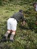 Img 4724