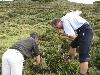 Img 4725