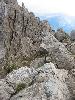 Img 4729