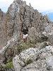 Img 4730