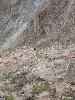 Img 4732