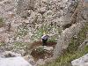 Img 4740