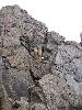 Img 4748