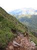 Img 4750