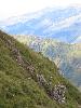 Img 4751