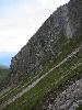 Img 4753