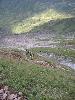 Img 4754