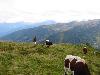 Img 4757