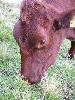 Img 4758