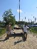 Img 4777