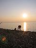 Img 4812