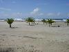 Dsc00086 Dsc00086