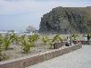 Dsc00184