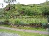 Dsc00227