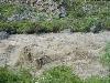Dsc00229