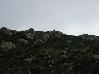 109-0914 IMG