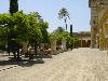 Cordoba