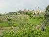 DSC00216