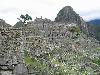 102-0273 IMG