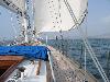118-1812 IMG 118-1812 IMG
