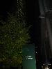 Img 4896