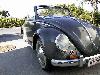 VW15-Front1