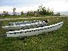 IMG 5008