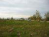 IMG 5016