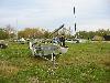 IMG 5017