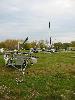 IMG 5019
