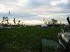 IMG 5040