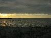 IMG 5056