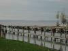 IMG 5065
