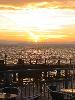 IMG 5081