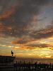 IMG 5095