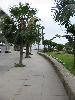 IMG 5245