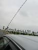 IMG 5256