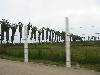 IMG 5257