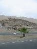 IMG 5259 IMG 5259