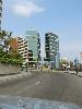 IMG 5595