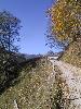 133-3389 IMG