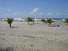 DSC00086