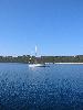 IMG 4440