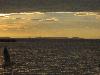 IMG 5057