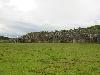 IMG 0673