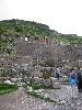 IMG 0683