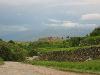 IMG 0685