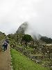IMG 0694