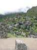 IMG 0704 IMG 0704