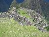 IMG 0729